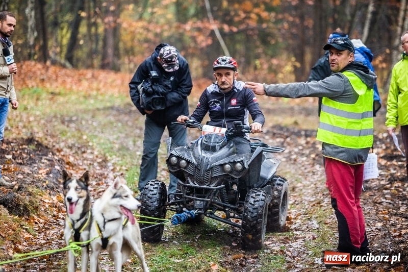Zdjęcie w galerii na portalu naszraciborz.pl: SZCZEKOWYJE, czyli I Ogólnopolskie Zawody Psich Zaprzęgów w Rudach  wiadomości z regionu