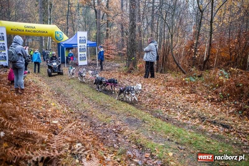 Zdjęcie w galerii na portalu naszraciborz.pl: SZCZEKOWYJE, czyli I Ogólnopolskie Zawody Psich Zaprzęgów w Rudach  wiadomości z regionu