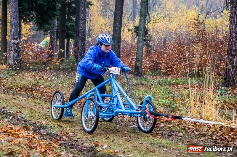 Zdjęcie w galerii na portalu naszraciborz.pl: SZCZEKOWYJE, czyli I Ogólnopolskie Zawody Psich Zaprzęgów w Rudach  wiadomości z regionu