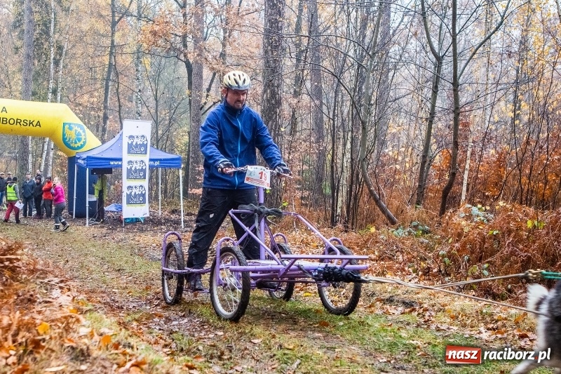 Zdjęcie w galerii na portalu naszraciborz.pl: SZCZEKOWYJE, czyli I Ogólnopolskie Zawody Psich Zaprzęgów w Rudach  wiadomości z regionu