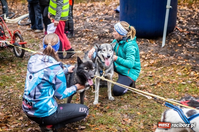 Zdjęcie w galerii na portalu naszraciborz.pl: SZCZEKOWYJE, czyli I Ogólnopolskie Zawody Psich Zaprzęgów w Rudach  wiadomości z regionu