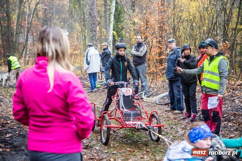 Zdjęcie w galerii na portalu naszraciborz.pl: SZCZEKOWYJE, czyli I Ogólnopolskie Zawody Psich Zaprzęgów w Rudach  wiadomości z regionu
