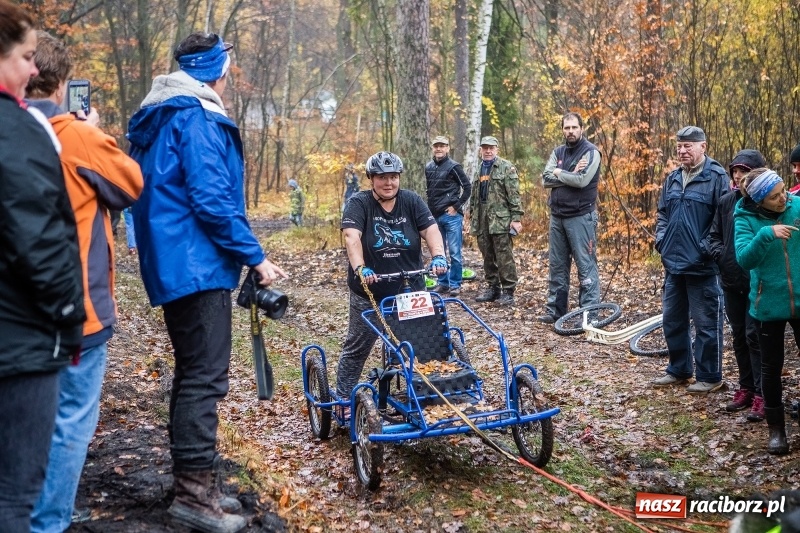 Zdjęcie w galerii na portalu naszraciborz.pl: SZCZEKOWYJE, czyli I Ogólnopolskie Zawody Psich Zaprzęgów w Rudach  wiadomości z regionu