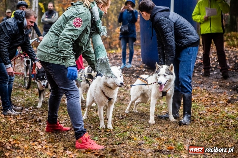Zdjęcie w galerii na portalu naszraciborz.pl: SZCZEKOWYJE, czyli I Ogólnopolskie Zawody Psich Zaprzęgów w Rudach  wiadomości z regionu