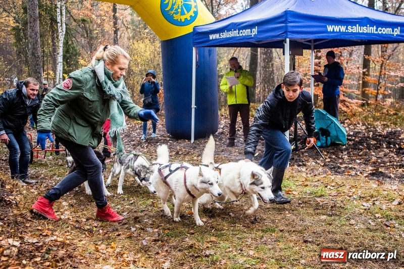 Zdjęcie w galerii na portalu naszraciborz.pl: SZCZEKOWYJE, czyli I Ogólnopolskie Zawody Psich Zaprzęgów w Rudach  wiadomości z regionu