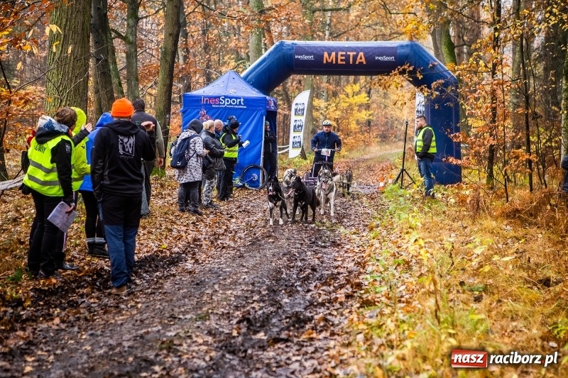 Zdjęcie w galerii na portalu naszraciborz.pl: SZCZEKOWYJE, czyli I Ogólnopolskie Zawody Psich Zaprzęgów w Rudach  wiadomości z regionu