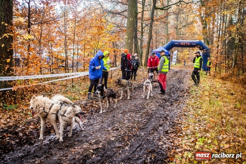 Zdjęcie w galerii na portalu naszraciborz.pl: SZCZEKOWYJE, czyli I Ogólnopolskie Zawody Psich Zaprzęgów w Rudach  wiadomości z regionu