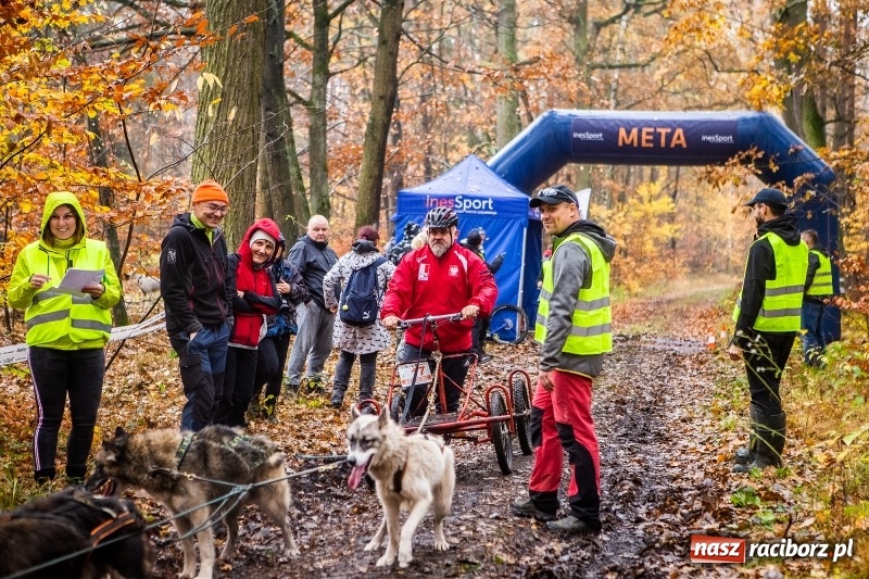 Zdjęcie w galerii na portalu naszraciborz.pl: SZCZEKOWYJE, czyli I Ogólnopolskie Zawody Psich Zaprzęgów w Rudach  wiadomości z regionu