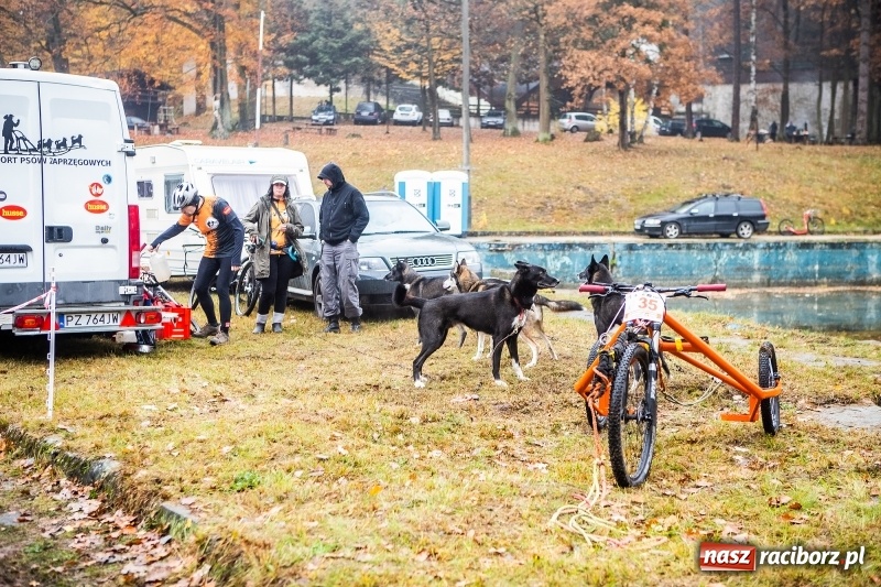 Zdjęcie w galerii na portalu naszraciborz.pl: SZCZEKOWYJE, czyli I Ogólnopolskie Zawody Psich Zaprzęgów w Rudach  wiadomości z regionu