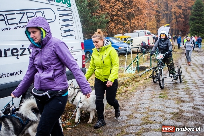 Zdjęcie w galerii na portalu naszraciborz.pl: SZCZEKOWYJE, czyli I Ogólnopolskie Zawody Psich Zaprzęgów w Rudach  wiadomości z regionu
