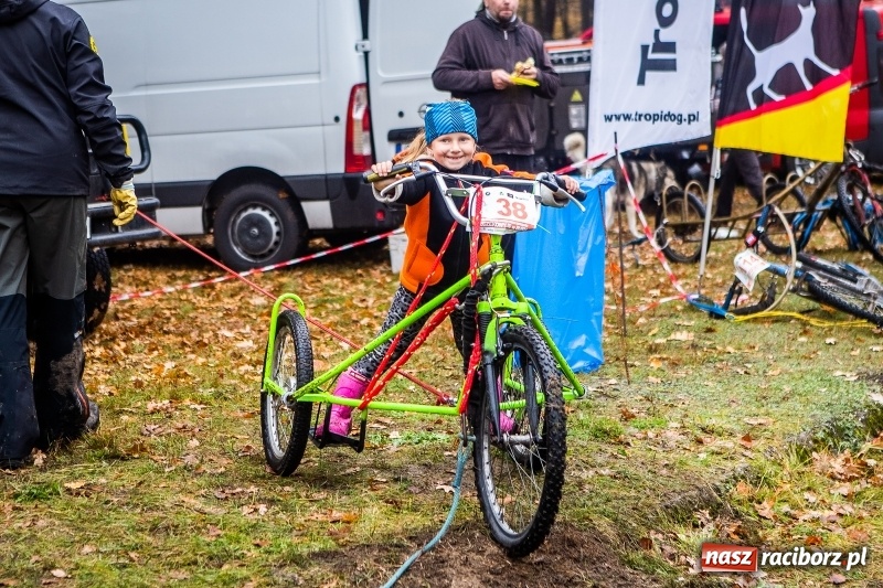 Zdjęcie w galerii na portalu naszraciborz.pl: SZCZEKOWYJE, czyli I Ogólnopolskie Zawody Psich Zaprzęgów w Rudach  wiadomości z regionu