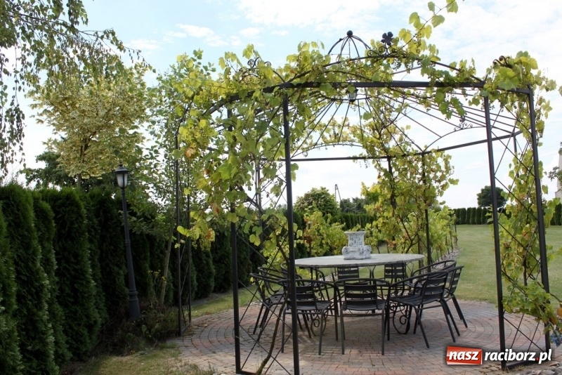 Zdjęcie w galerii na portalu naszraciborz.pl: Dworek Szonowice zaprasza na niedzielne obiady wiadomości z regionu