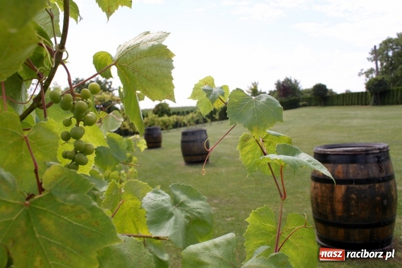 Zdjęcie w galerii na portalu naszraciborz.pl: Dworek Szonowice zaprasza na niedzielne obiady wiadomości z regionu