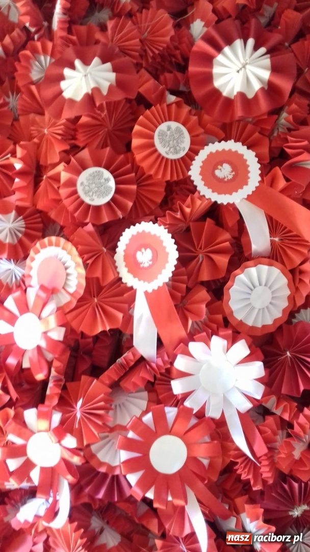 Zdjęcie w galerii na portalu naszraciborz.pl: Uczniowie SP 15 rozdają biało-czerwone kotyliony na Święto Niepodległości  wiadomości z regionu