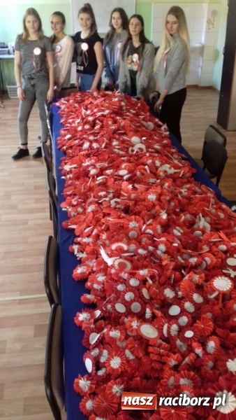 Zdjęcie w galerii na portalu naszraciborz.pl: Uczniowie SP 15 rozdają biało-czerwone kotyliony na Święto Niepodległości  wiadomości z regionu