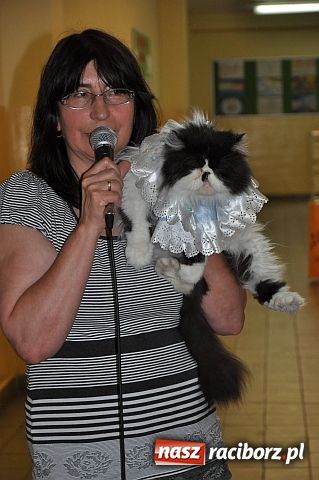 Zdjęcie w galerii na portalu naszraciborz.pl: Szare, bure i kudłate ... wiadomości z regionu