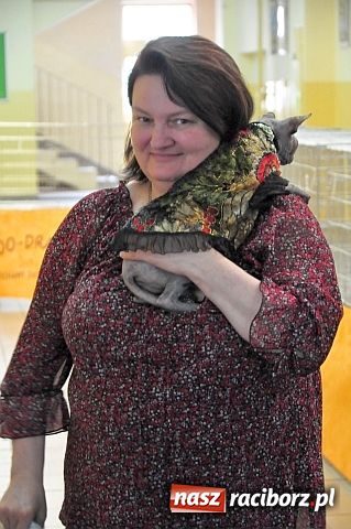 Zdjęcie w galerii na portalu naszraciborz.pl: Szare, bure i kudłate ... wiadomości z regionu