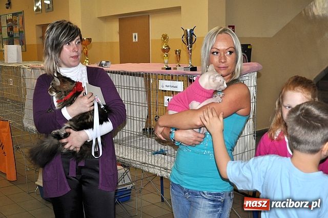 Zdjęcie w galerii na portalu naszraciborz.pl: Szare, bure i kudłate ... wiadomości z regionu