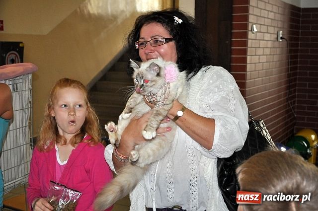 Zdjęcie w galerii na portalu naszraciborz.pl: Szare, bure i kudłate ... wiadomości z regionu