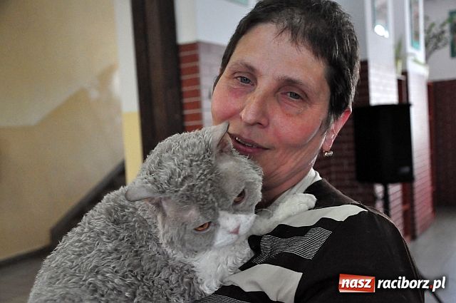 Zdjęcie w galerii na portalu naszraciborz.pl: Szare, bure i kudłate ... wiadomości z regionu