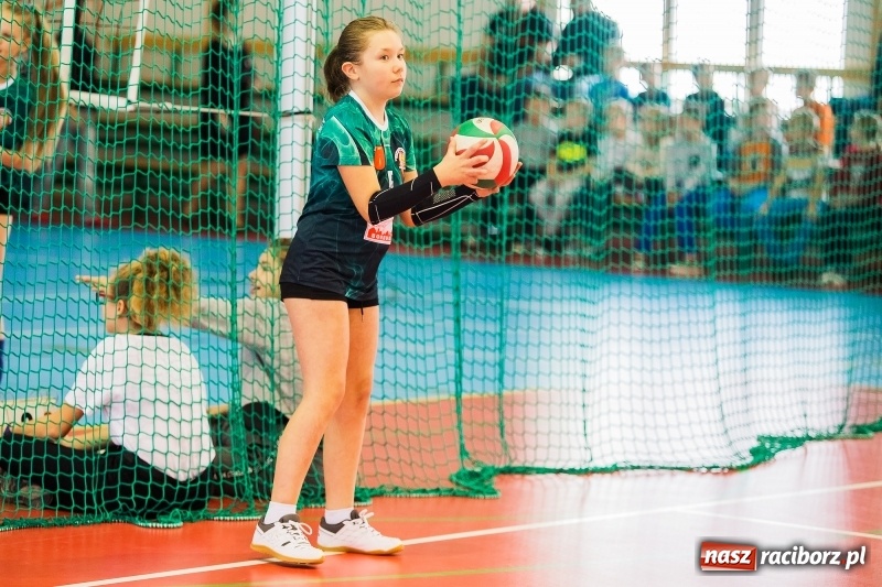 Zdjęcie w galerii na portalu naszraciborz.pl: Turniej Piłki Siatkowej Młodziczek o Puchar Starosty Raciborskiego wiadomości z regionu