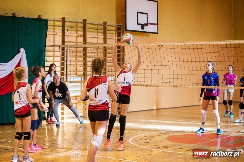 Zdjęcie w galerii na portalu naszraciborz.pl: Turniej Piłki Siatkowej Młodziczek o Puchar Starosty Raciborskiego wiadomości z regionu