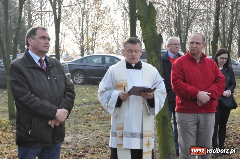 Zdjęcie w galerii na portalu naszraciborz.pl: W Pietrowicach Wielkich oddano do użytku wieżę widokową FOTO i WIDEO wiadomości z regionu