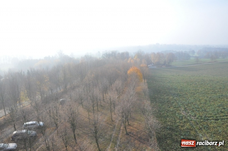 Zdjęcie w galerii na portalu naszraciborz.pl: W Pietrowicach Wielkich oddano do użytku wieżę widokową FOTO i WIDEO wiadomości z regionu