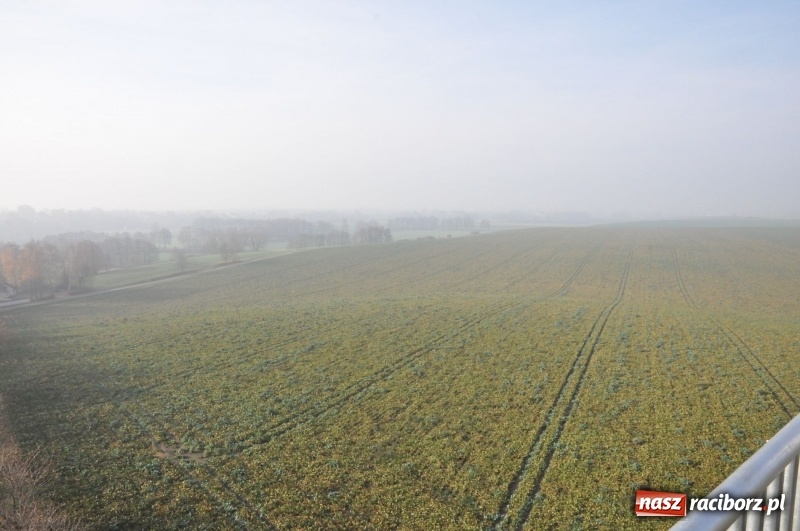 Zdjęcie w galerii na portalu naszraciborz.pl: W Pietrowicach Wielkich oddano do użytku wieżę widokową FOTO i WIDEO wiadomości z regionu