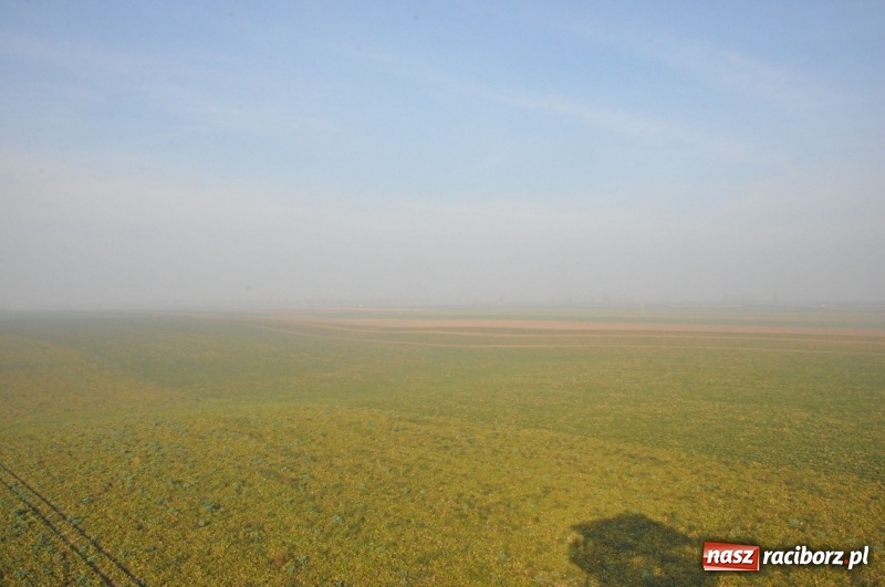 Zdjęcie w galerii na portalu naszraciborz.pl: W Pietrowicach Wielkich oddano do użytku wieżę widokową FOTO i WIDEO wiadomości z regionu