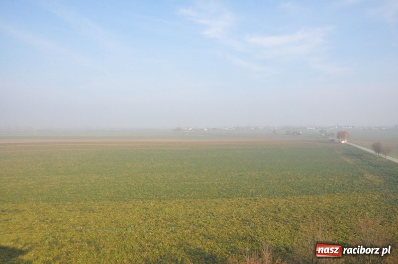 Zdjęcie w galerii na portalu naszraciborz.pl: W Pietrowicach Wielkich oddano do użytku wieżę widokową FOTO i WIDEO wiadomości z regionu