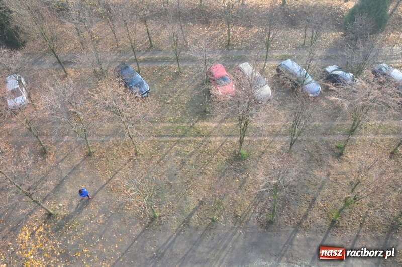 Zdjęcie w galerii na portalu naszraciborz.pl: W Pietrowicach Wielkich oddano do użytku wieżę widokową FOTO i WIDEO wiadomości z regionu