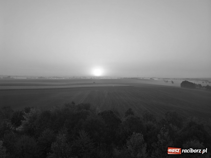 Zdjęcie w galerii na portalu naszraciborz.pl: W Pietrowicach Wielkich oddano do użytku wieżę widokową FOTO i WIDEO wiadomości z regionu