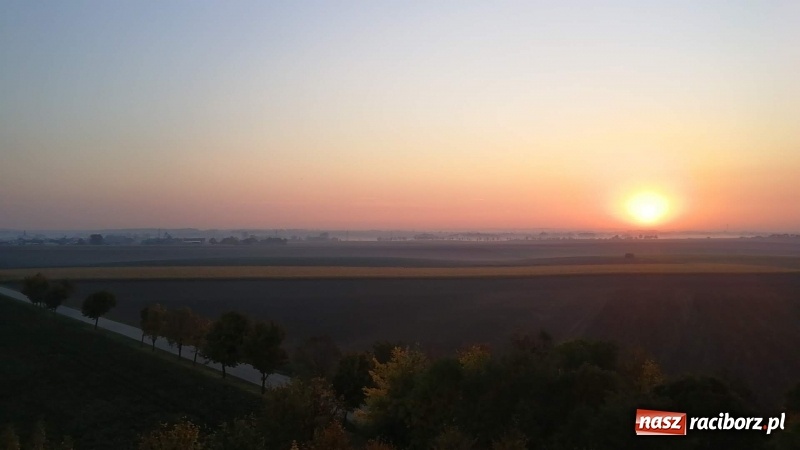 Zdjęcie w galerii na portalu naszraciborz.pl: W Pietrowicach Wielkich oddano do użytku wieżę widokową FOTO i WIDEO wiadomości z regionu