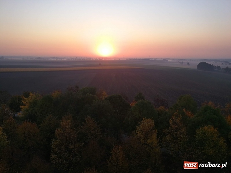 Zdjęcie w galerii na portalu naszraciborz.pl: W Pietrowicach Wielkich oddano do użytku wieżę widokową FOTO i WIDEO wiadomości z regionu
