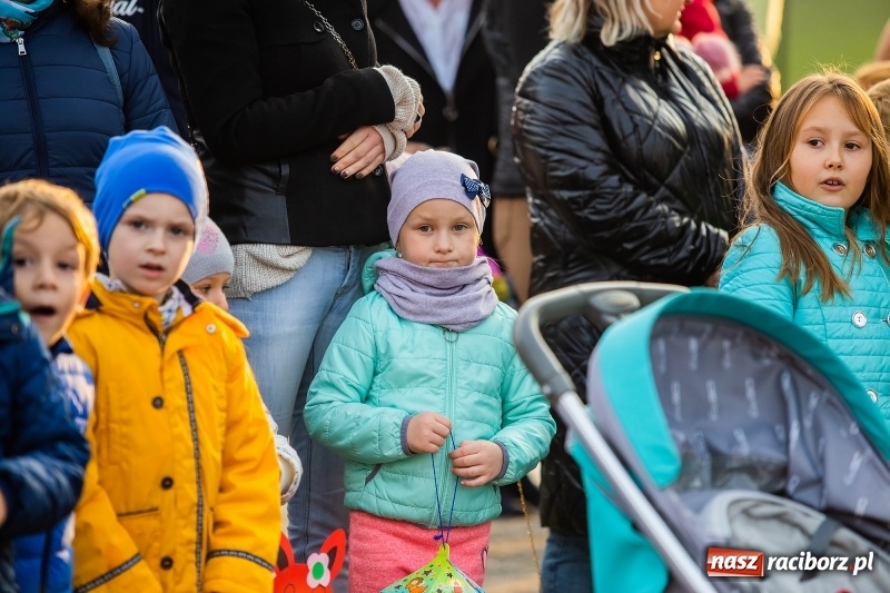 Zdjęcie w galerii na portalu naszraciborz.pl: Rogale i św. Marcin na koniu w Studziennej wiadomości z regionu