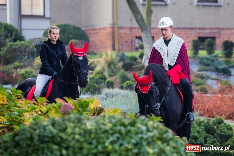 Zdjęcie w galerii na portalu naszraciborz.pl: Rogale i św. Marcin na koniu w Studziennej wiadomości z regionu
