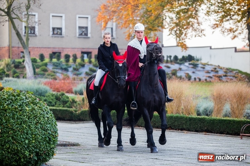 Zdjęcie w galerii na portalu naszraciborz.pl: Rogale i św. Marcin na koniu w Studziennej wiadomości z regionu