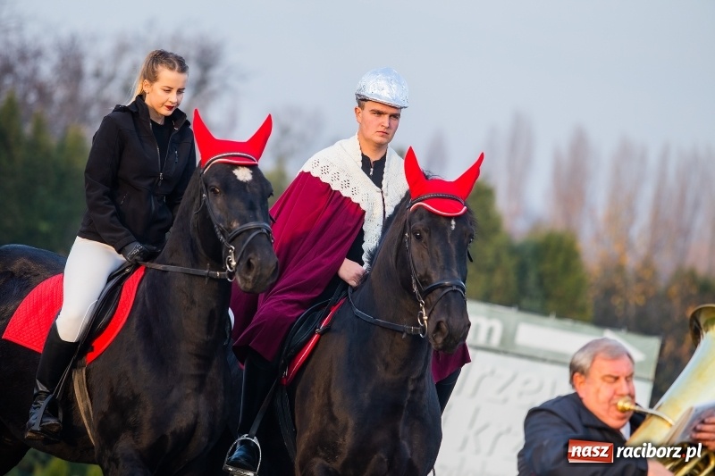 Zdjęcie w galerii na portalu naszraciborz.pl: Rogale i św. Marcin na koniu w Studziennej wiadomości z regionu
