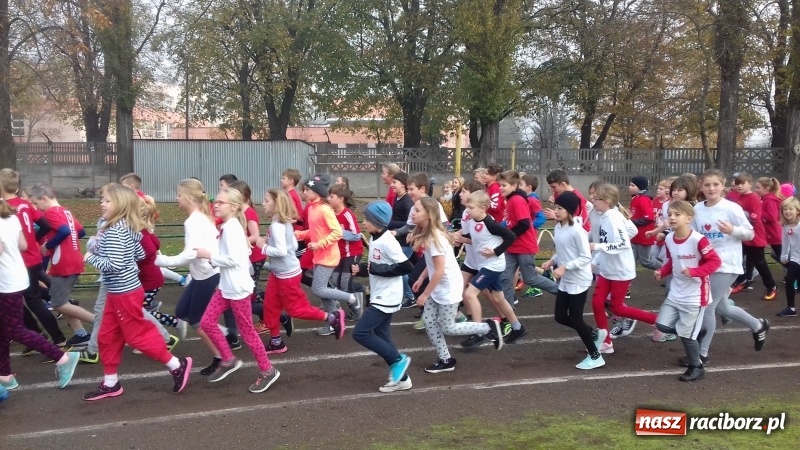 Zdjęcie w galerii na portalu naszraciborz.pl: 100 km na 100-lecie niepodległości Polski w SP 15  wiadomości z regionu