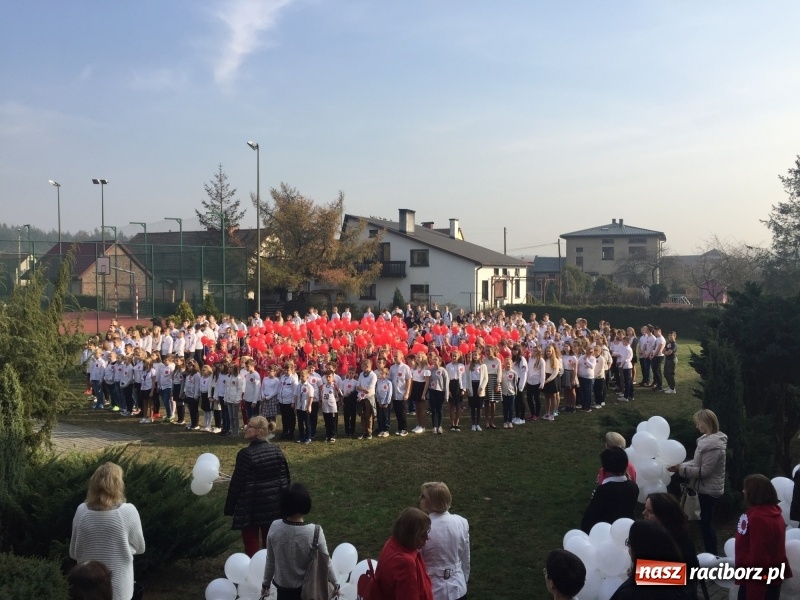 Zdjęcie w galerii na portalu naszraciborz.pl: Uczniowie z Nędzy w przemarszu dla Niepodległej z naczelnikiem na czele wiadomości z regionu