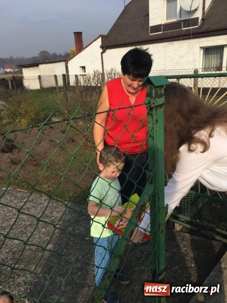 Zdjęcie w galerii na portalu naszraciborz.pl: Uczniowie z Nędzy w przemarszu dla Niepodległej z naczelnikiem na czele wiadomości z regionu