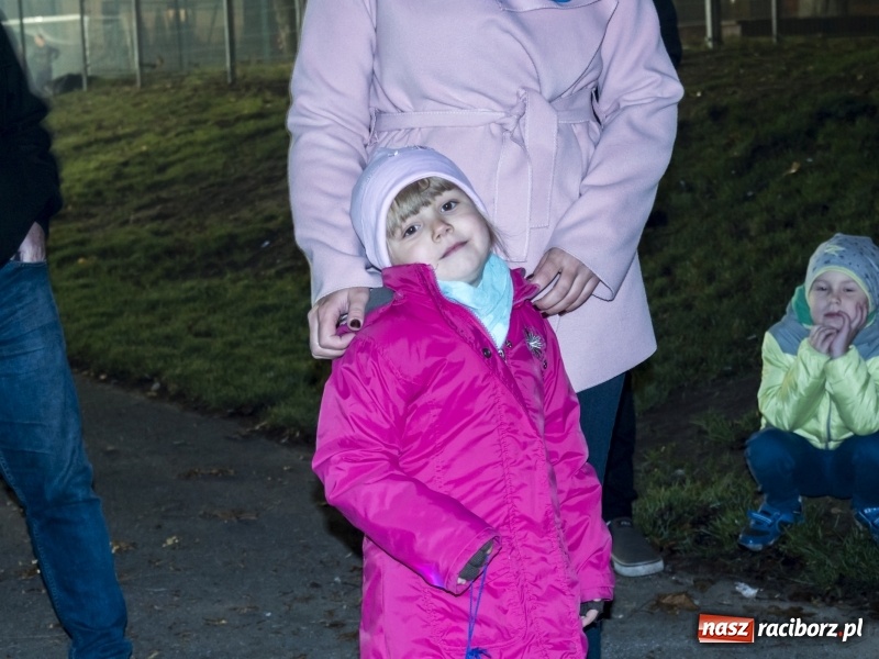 Zdjęcie w galerii na portalu naszraciborz.pl: Dziewięćset rogali na św. Marcina w Rudach  wiadomości z regionu