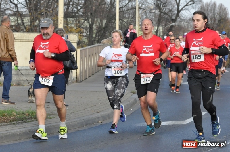 Zdjęcie w galerii na portalu naszraciborz.pl: Od Bałtyku do Tatr. Narodowy Bieg Stulecia w Raciborzu FOTO i WIDEO wiadomości z regionu