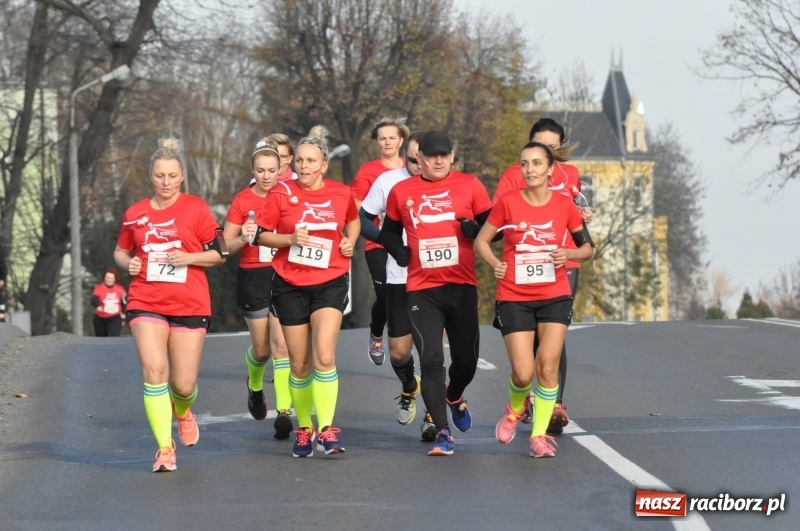 Zdjęcie w galerii na portalu naszraciborz.pl: Od Bałtyku do Tatr. Narodowy Bieg Stulecia w Raciborzu FOTO i WIDEO wiadomości z regionu