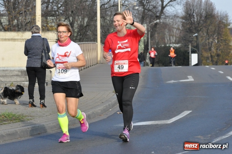 Zdjęcie w galerii na portalu naszraciborz.pl: Od Bałtyku do Tatr. Narodowy Bieg Stulecia w Raciborzu FOTO i WIDEO wiadomości z regionu