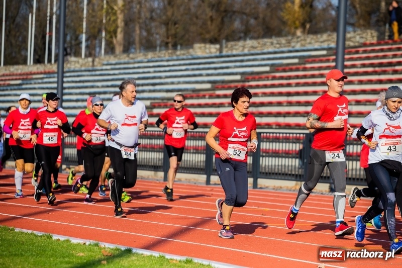 Zdjęcie w galerii na portalu naszraciborz.pl: Od Bałtyku do Tatr. Narodowy Bieg Stulecia w Raciborzu FOTO i WIDEO wiadomości z regionu