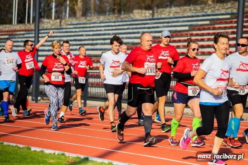 Zdjęcie w galerii na portalu naszraciborz.pl: Od Bałtyku do Tatr. Narodowy Bieg Stulecia w Raciborzu FOTO i WIDEO wiadomości z regionu