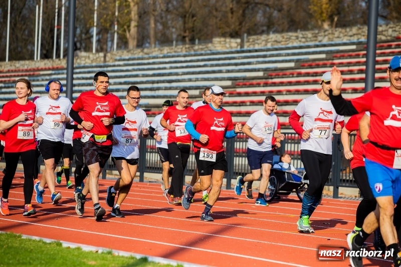 Zdjęcie w galerii na portalu naszraciborz.pl: Od Bałtyku do Tatr. Narodowy Bieg Stulecia w Raciborzu FOTO i WIDEO wiadomości z regionu