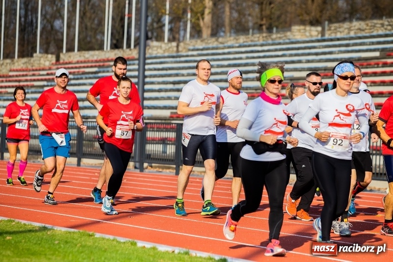 Zdjęcie w galerii na portalu naszraciborz.pl: Od Bałtyku do Tatr. Narodowy Bieg Stulecia w Raciborzu FOTO i WIDEO wiadomości z regionu